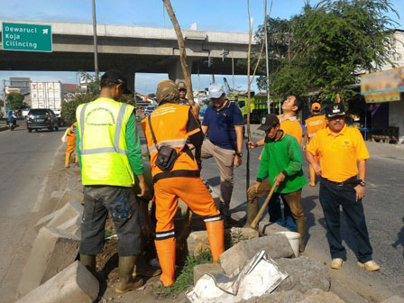 200 Pohon Pelindung Ditanam di Cilincing