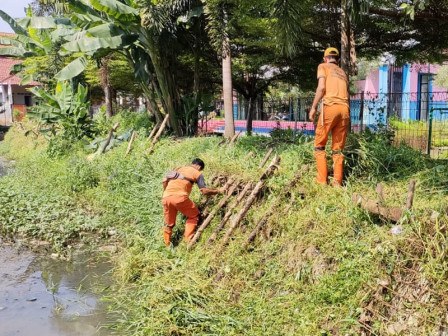 20 Personil PPSU Dikerahkan Bersihkan Kali Pulo