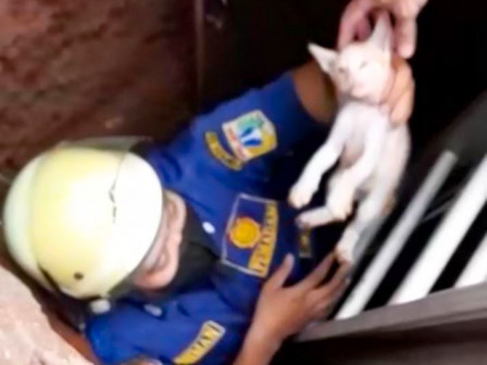 Gulkarmat Jaktim Evakuasi Anak Kucing Tercebur Sumur 