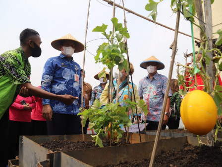 Apartemen Gading Nias Kembangkan Urban Farming di Area Rooftop 