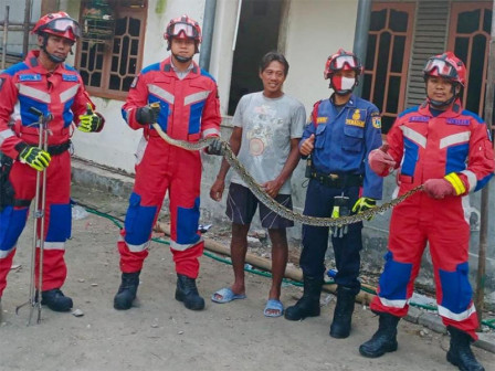 Petugas Berhasil Evakuasi Ular Sanca dari Dua Pulau