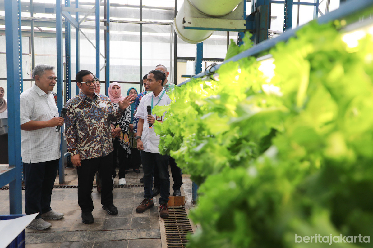 Pramono Anung saat meninjau Ladang Farm di Lebak Bulus