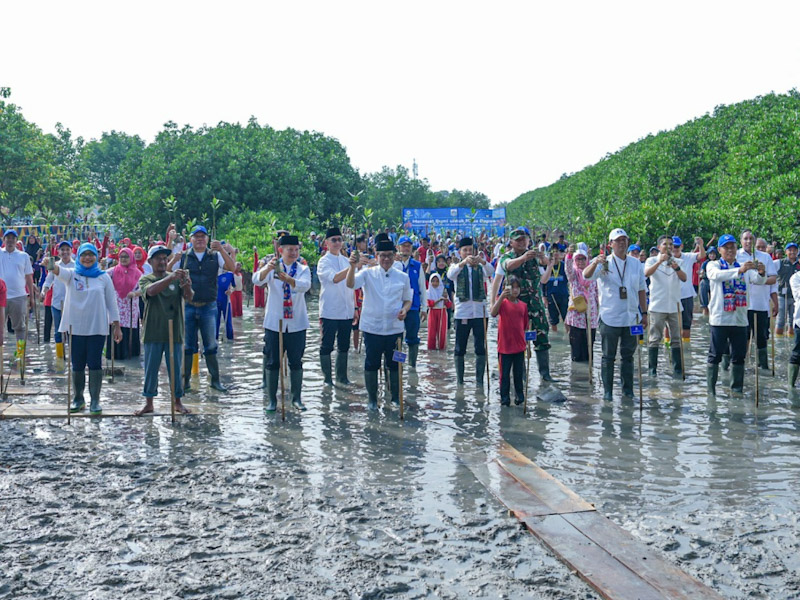https://multimedia.beritajakarta.id/photo/2014_508c75c8507a2ae5223dfd2faeb98122/Transjakarta Targetkan Tanam 100 Ribu Mangrove di 5 Abad Jakarta 