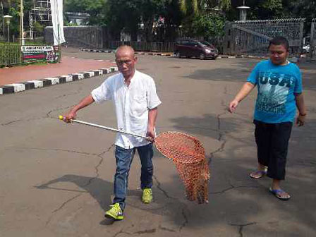 15 Kucing Dijaring Dari Kompleks Masjid Istiqlal