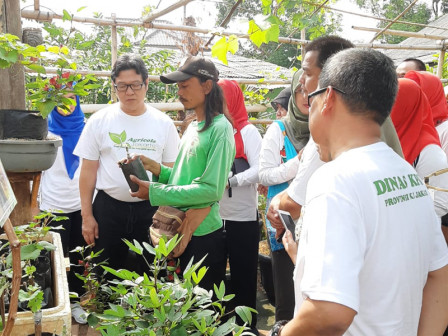 Kadis KPKP Apresiasi Pengembangan Urban Farming di Malakasari