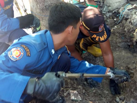  Ular Sanca di Pulau Lancang Berhasil Dievakuasi Petugas