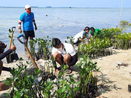 Gandeng Komunitas, PBKL Giatkan Penanaman 1000 Bibit Mangrove 