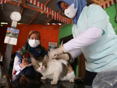 Vaksinasi Rabies di Kemanggisan Sasar 80 Ekor HPR 