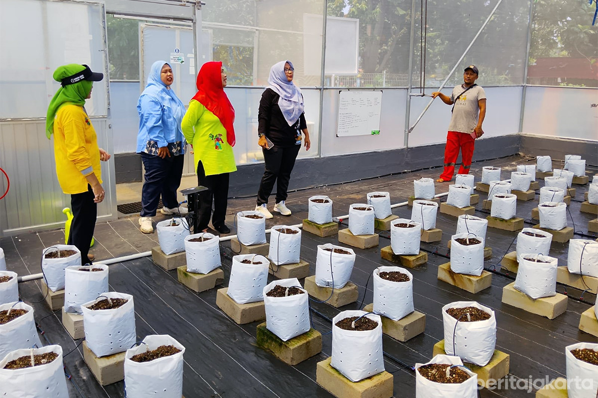 Greenhouse Saung Aset di Jalan SMPN 126, Jakarta Timur