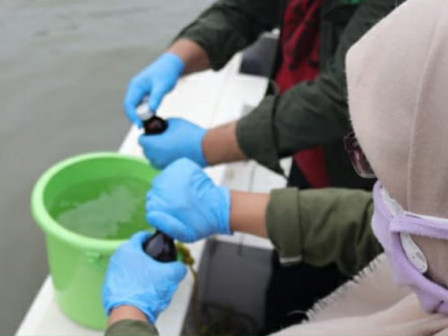 Dinas LH Sudah Ambil Sampel Air Laut Teluk Jakarta