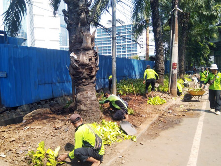  Stok Sudin Tamhut Hijaukan Jalan K.H Mas Mansyur