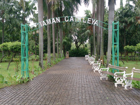 Bersantai dan Berolahraga di Taman Cattleya