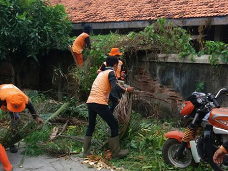Pohon dan Rumput Liar di Jl Cilincing Baru Dibersihkan PPSU