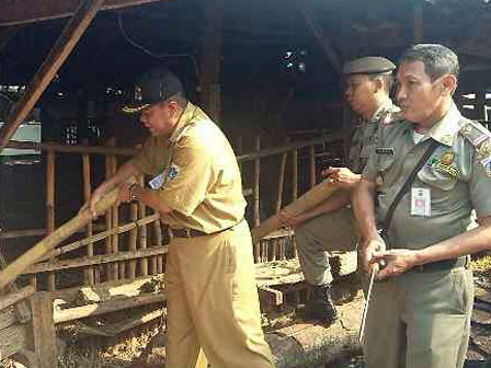 Pemkot Jaksel Tertibkan 4 blok Kandang Kambing Di Kebayoran Lama Utara.