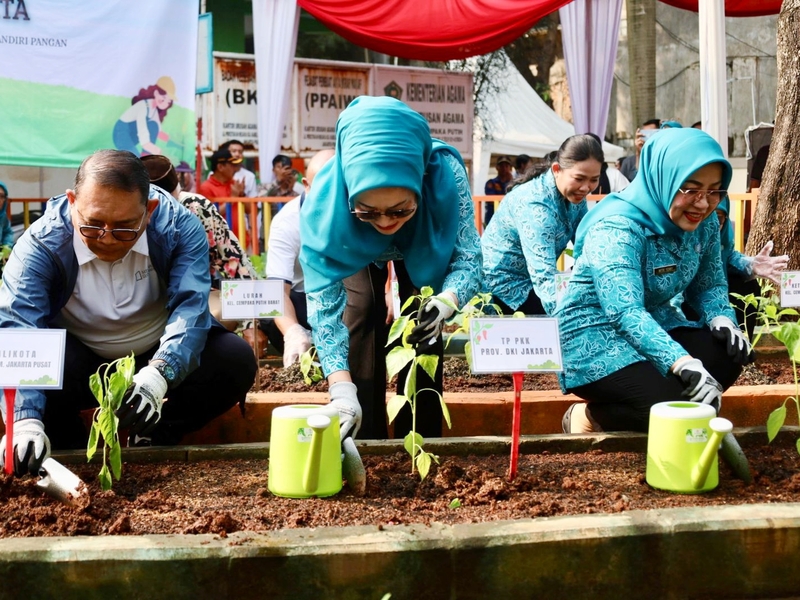 2470 Polybag Bibit Tanaman Ditanam di 10 Lokasi Urban Farming se Jakpus