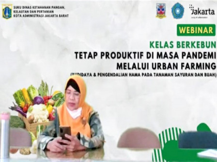  155 Peserta Ikuti Webinar Berkebun Dengan Sudin KPKP Jakarta Barat 