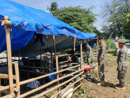 120 Satpol PP Bantu Awasi Penampungan Hewan Kurban