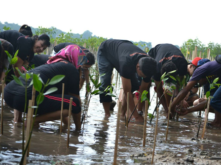 Festival Island For Sale Diisi Dengan Tanam Mangrove