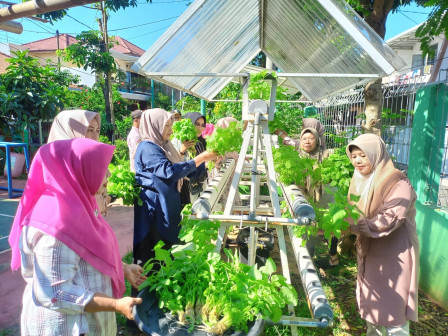 TP PKK Srengseng Panen 8,4 Kilogram Sayur Bayam