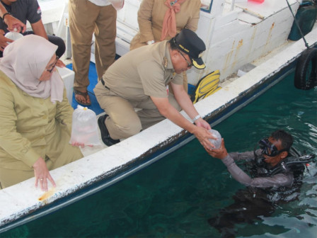 Sudin KPKP Kepulauan Seribu Restoking 200 Ekor Ikan Nemo di Perairan APL Pulau Pramuka