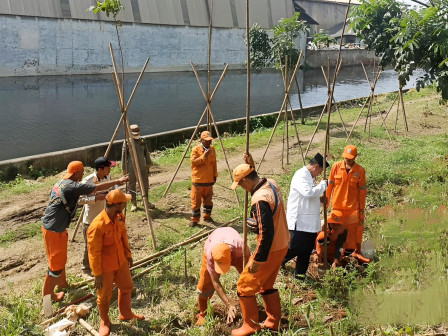 Kelurahan Kamal Muara Gencarkan Penghijauan Bantaran Kali dan Jalan 