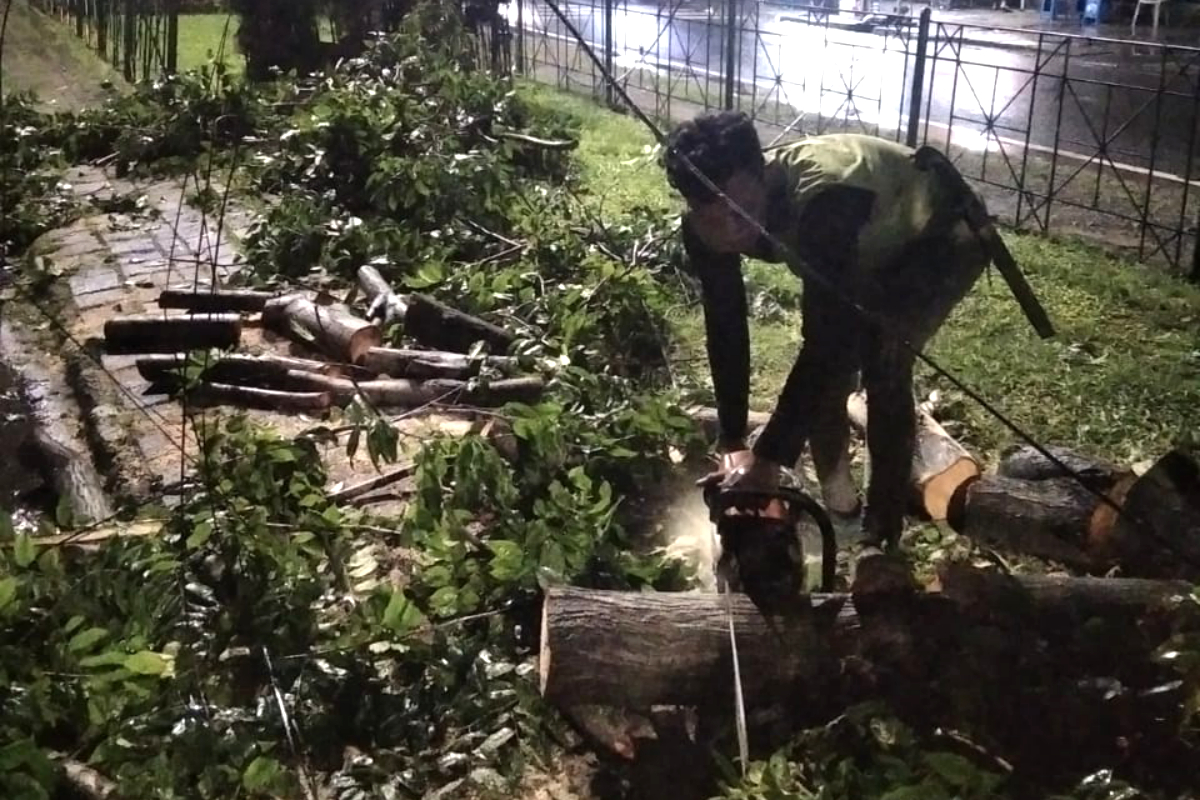 Petugas memotong barang pohon yang tumbang dan sempal di Jaktim