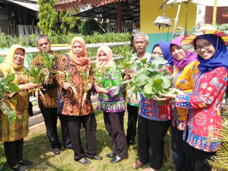 10 Kilogram Sayuran Organik Dipanen Dari RPTRA Anggrek Bintaro