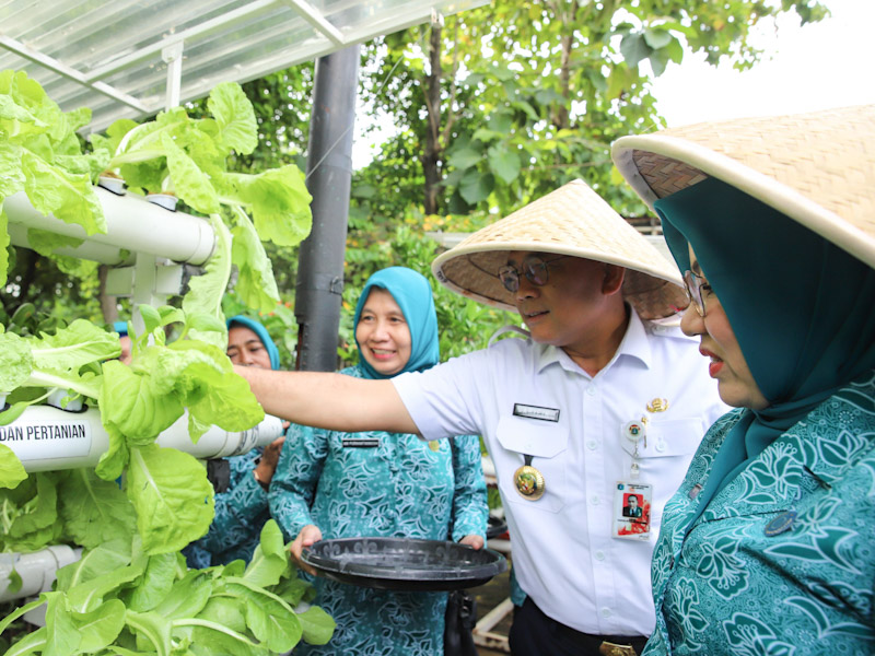 Wali Kota Jakpus Gelar Panen Serentak.di Kebun Bhineka Kebon Kosong 