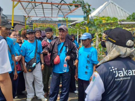 Warga Kampung Bayam Belajar Urban Farming ke RW 07 Kembangan Utara