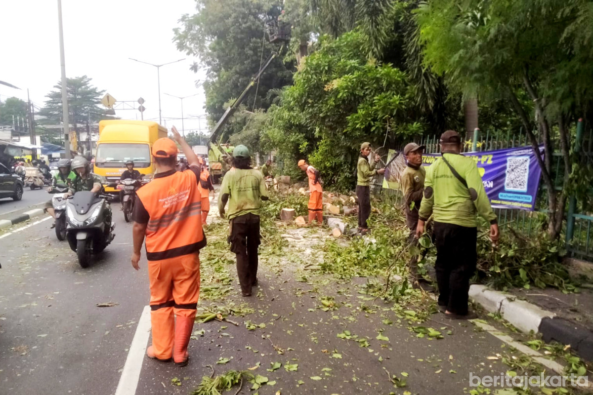 Pemangkasan Pohon oleh petugas gabungan di Jl Raya Bogor