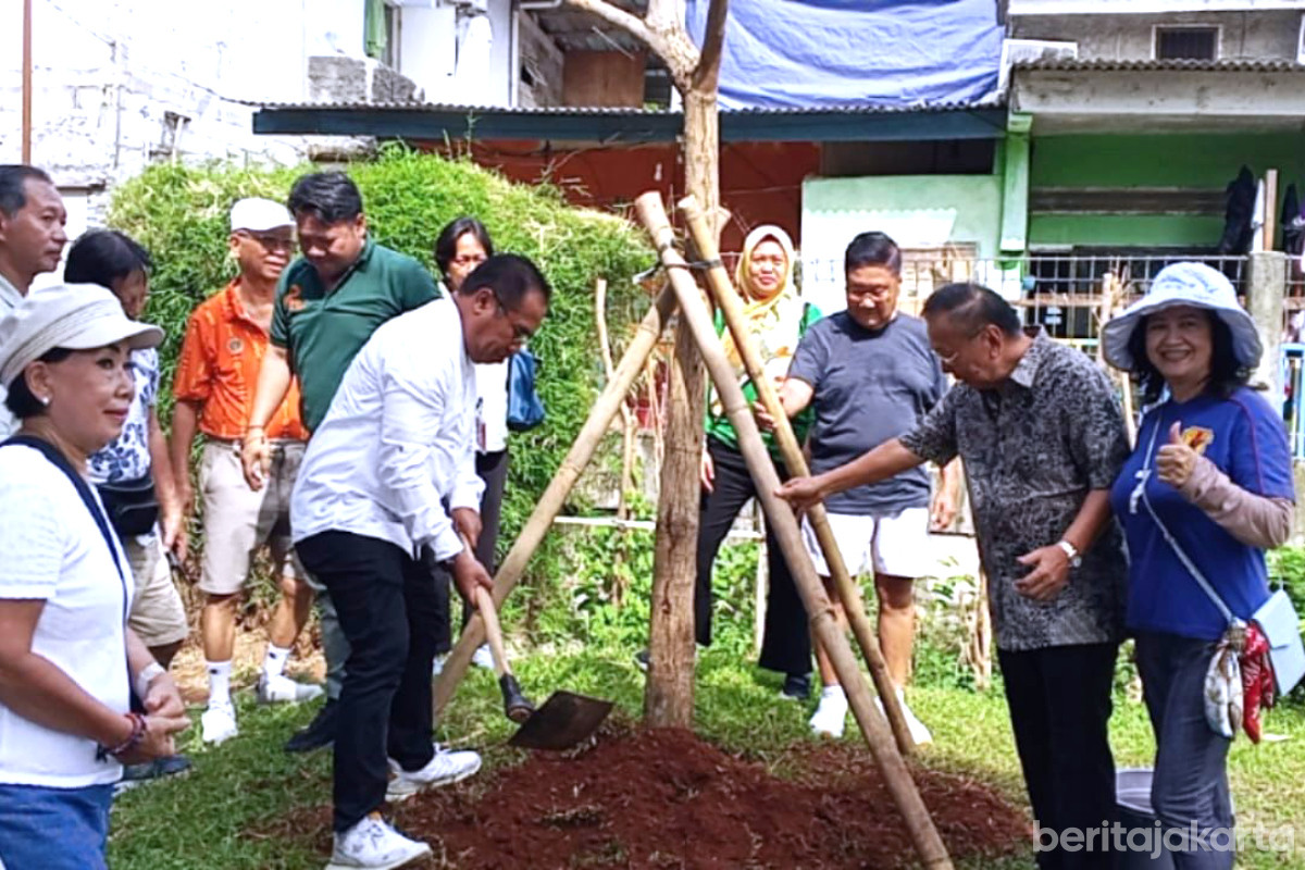 Puluhan Pohon Tabebuya Hijaukan Kompleks Green Garden Jakbar