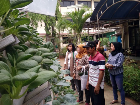 Dinas KPKP Uji Produk Hidroponik Kelompok Binaan di Jakut