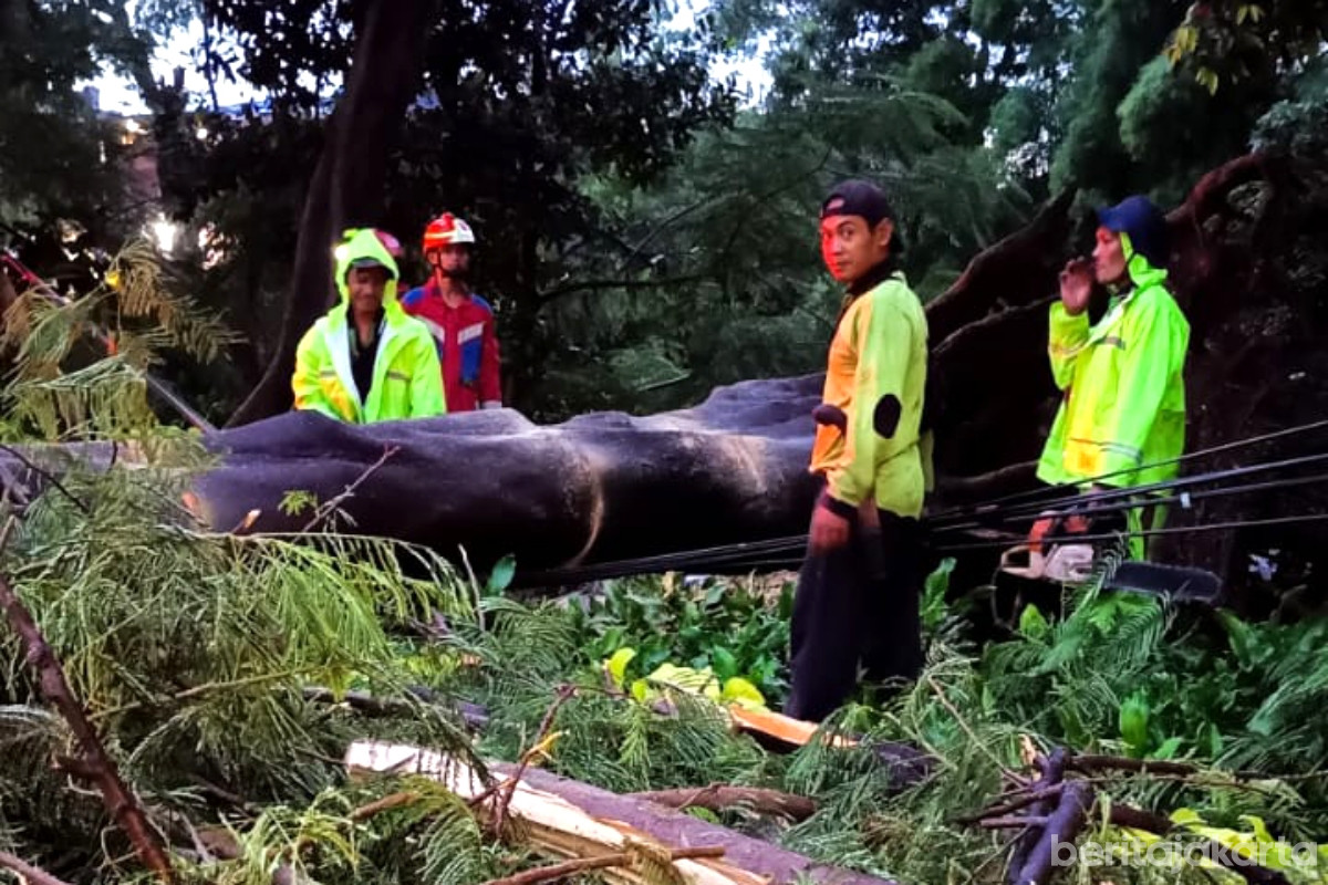 Dua Pohon Tumbang di Jaktim Berhasil Dievakuasi Petugas 