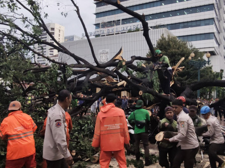 Petugas Gabungan Dikerahkan Evakuasi Pohon Tumbang di Halaman Balai Kota