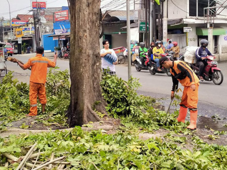 Lima PPSU Pangkas Pohon Rindang di Jl Lapangan Tembak 