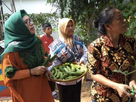 5 Kilogram Buah Pare Dipanen Dari RPTRA Jaya Molel	