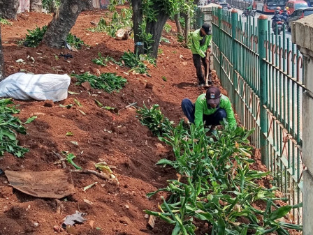 Jalur Hijau di Simpang Hek Ditata Ulang