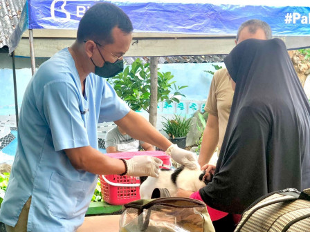 32 Kucing Divaksinasi Rabies di Kelurahan Manggarai