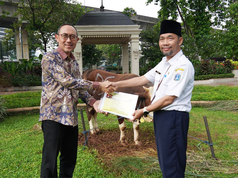  Pemkot Jaksel Terima Hewan Kurban Dari Pihak Swasta