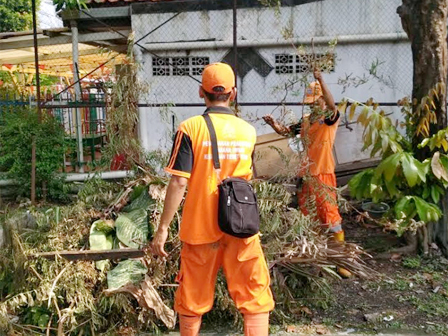 PPSU Tebet Timur Papas Lima Pohon di Jl Tebet Timur Dalam VI