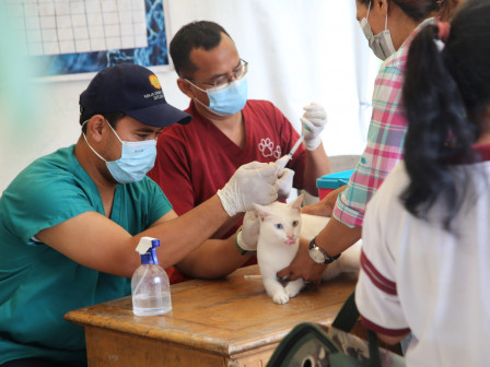 157 HPR Disuntik Vaksin Rabies di Menteng Dalam