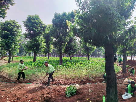 Taman Viaduk Jatinegara Ditata Ulang