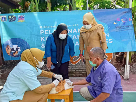  24 Kucing Divaksinasi Rabies di Kelurahan Slipi 