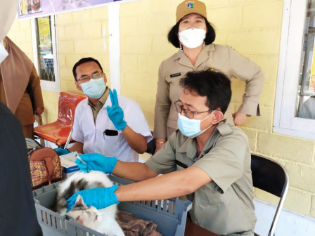 826 Ekor HPR di Jaksel Sudah Divaksin Rabies