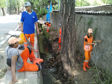  Saluran Jl Raya Tugu Semper Dibersihkan Petugas PPSU 