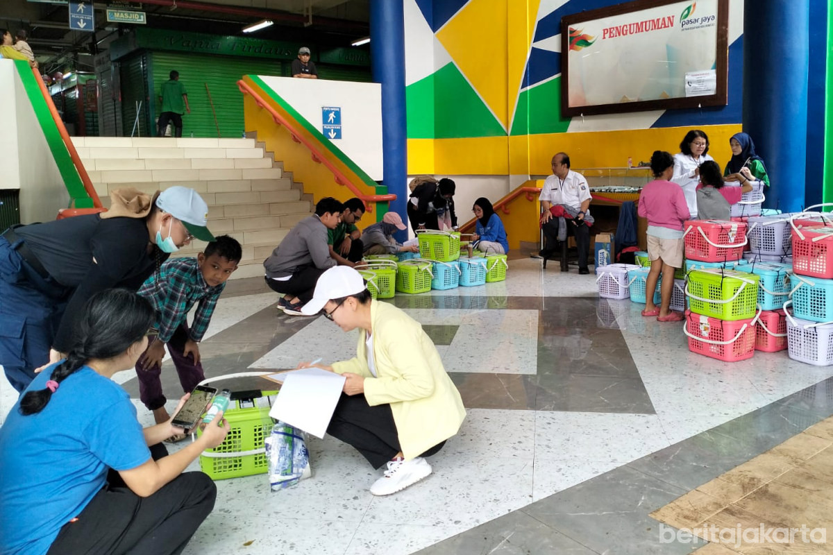 Sudin KPKP Jaktim Tangkap dan Sterilisasi Kucing Liar di Pasar Induk Kramat Jati 