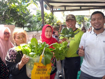  Kelompok Tani di Kelurahan Manggarai Selatan Dikukuhkan	