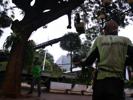 Antisipasi Dampak Musim Hujan, Distamhut DKI Lakukan Penopingan dan Jamin Korban Pohon Tumbang