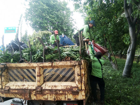 Sampah Daun Samping tol Wiyoto Wiyono