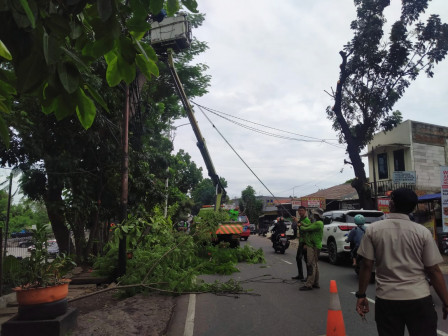 Personel Gabungan Pangkas Pohon di Jl Mabes TNI